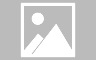 温县网页设计英文默认字体（网页设置英文转换中文）